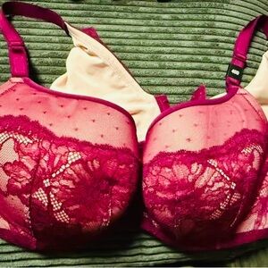 Torrid Red and Cream Lace Bra with Underwire Support